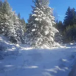 Семеен Хотел Кристал 3*
