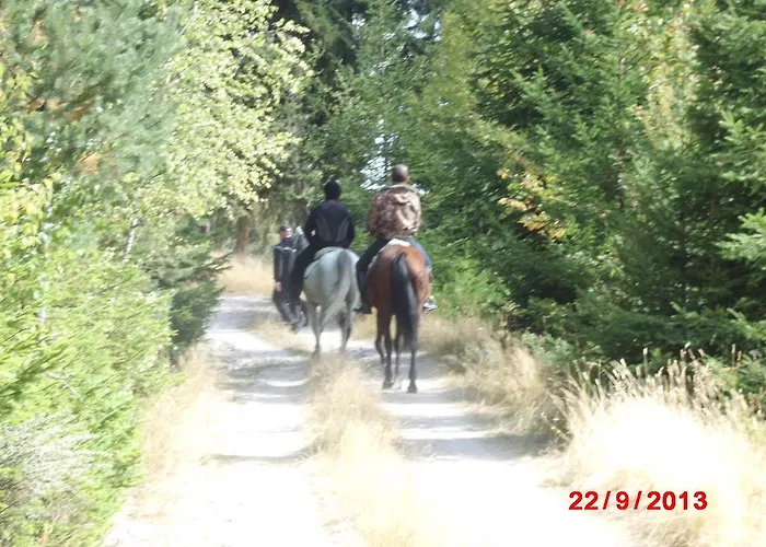 Hotel Семеен Хотел Кристал 3*