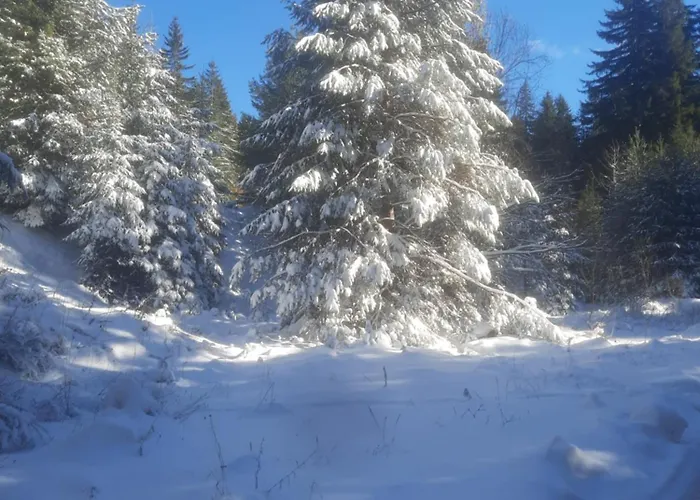 Семеен Хотел Кристал 3*